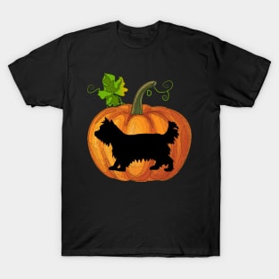 Yorkie in pumpkin T-Shirt